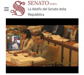 Audizione in Senato - Prima Commissione Affari Costituzionali - DL 1184  Semplificazioni